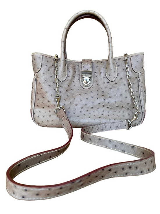 Dooney & Bourke Handbags - Dooney & Bourke Ostrich Leather Satchel Taupe Chain Strap Bag